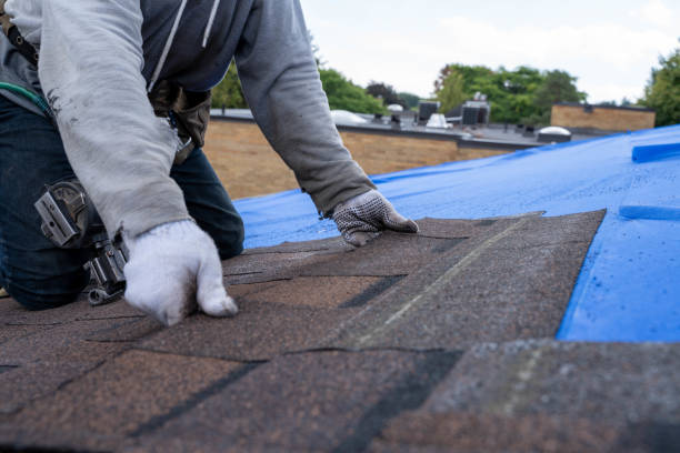Roof Gutter Cleaning in Rockingham, NC